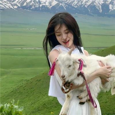 调查犯罪是我们的职业
