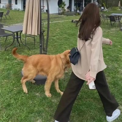 永生羊